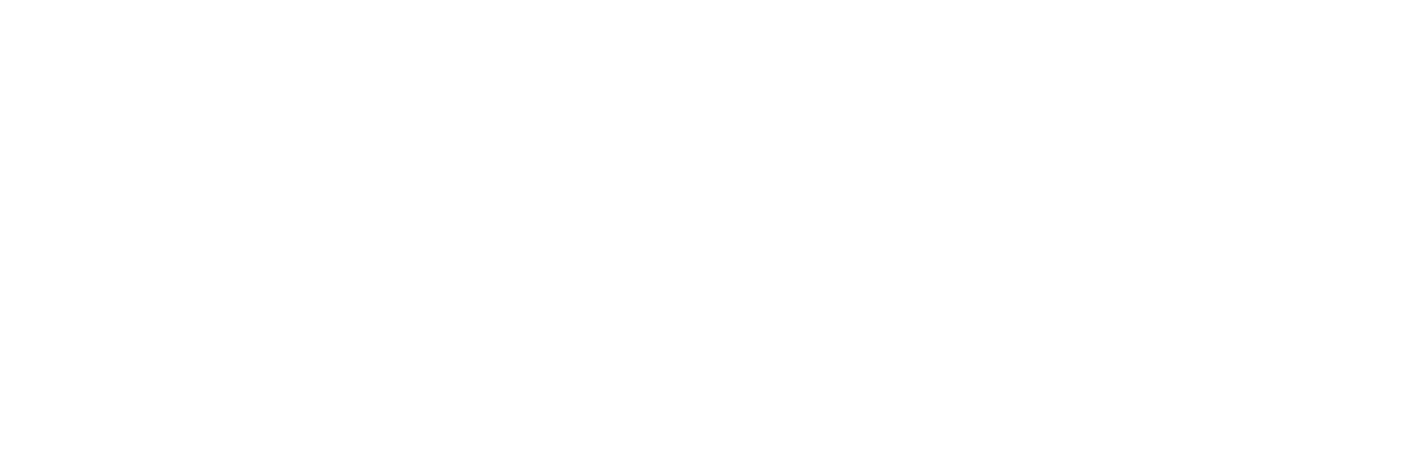 Belle-and-Wilde-Gluten-Free-Bakery-logo